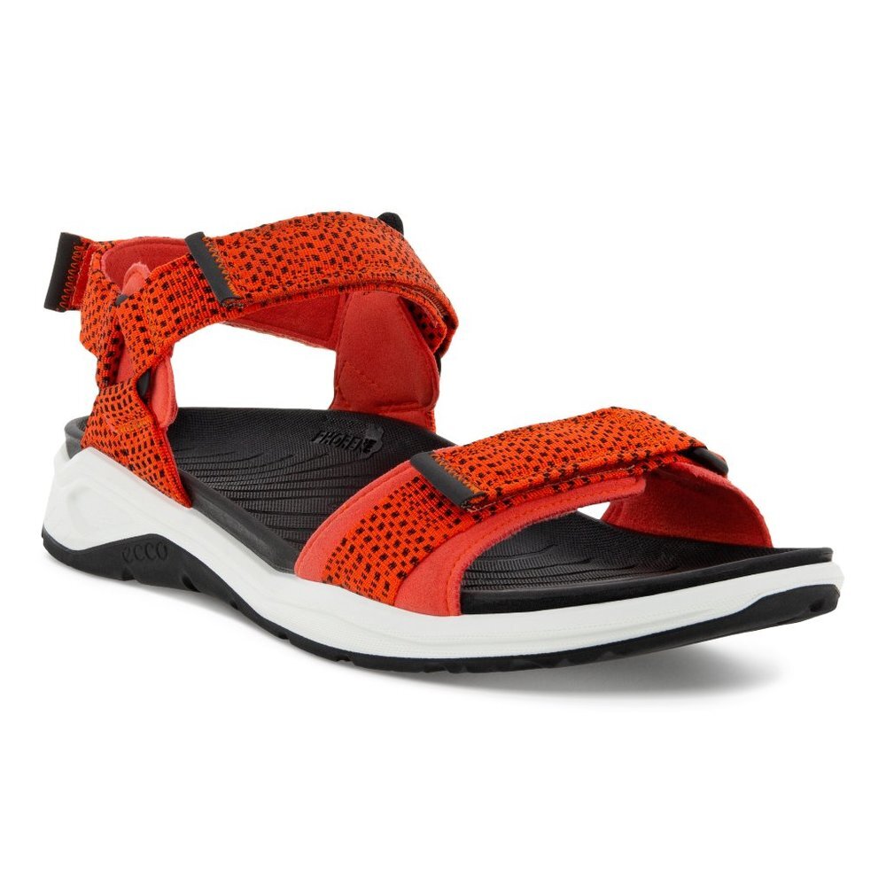 ECCO Men's X-Trinsic 3S Water Sandal